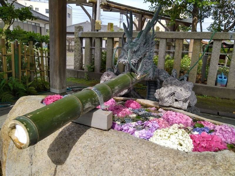 酒見神社の見どころ