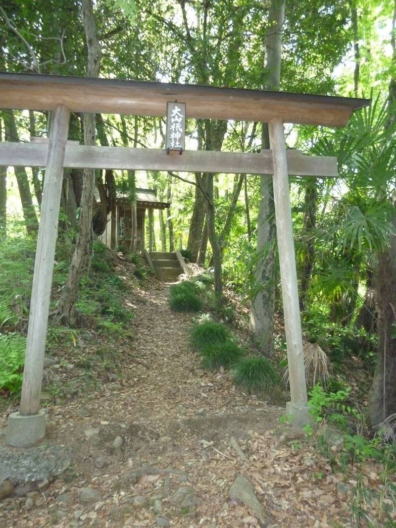 大山祇神社,埼玉県秩父市大宮