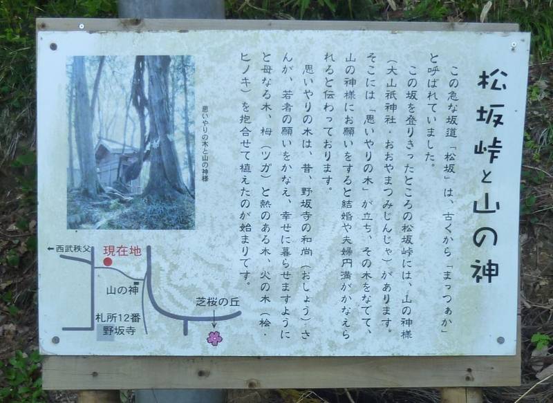 大山祇神社,埼玉県秩父市大宮