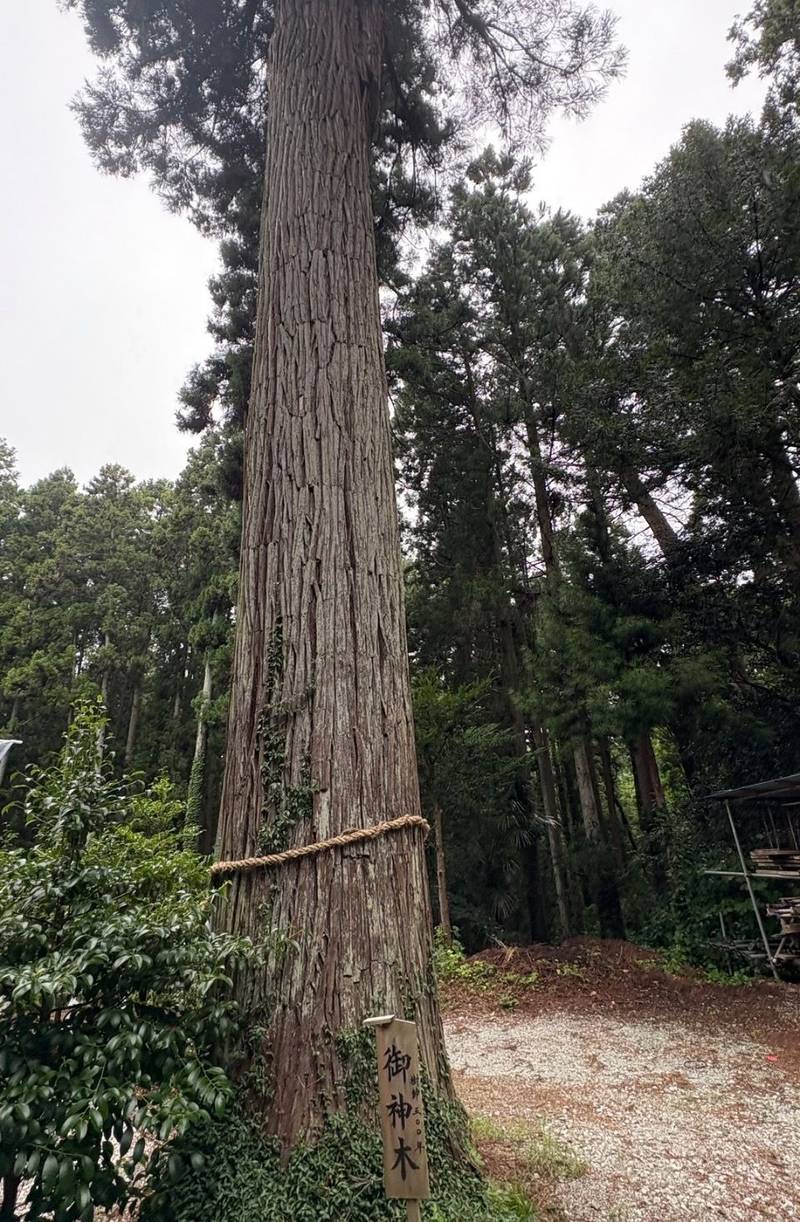 熱日高彦神社,宮城県角田市島田字四拾刈12