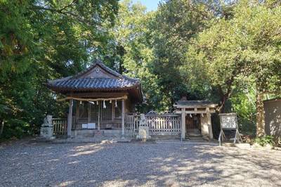 中山王子神社,見どころ,はる