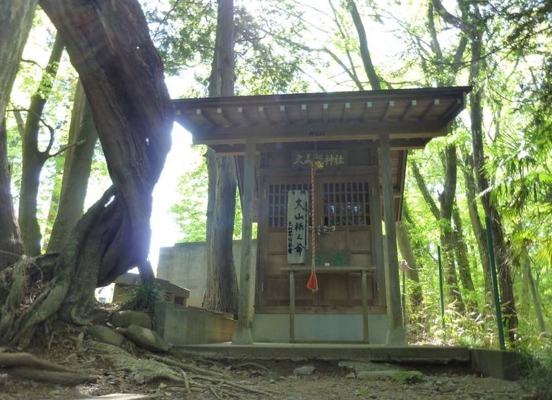 大山祇神社,埼玉県秩父市大宮