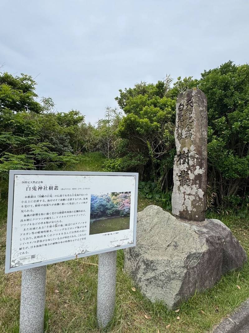 白兎神社,鳥取県鳥取市白兎603番地