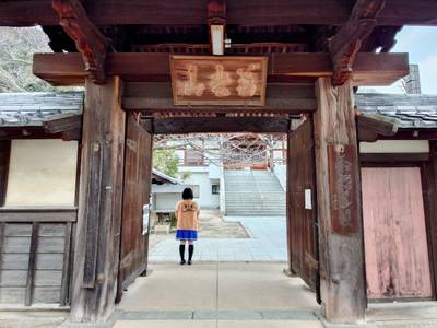 龍泰寺 (竜泰寺),見どころ,平沢凛