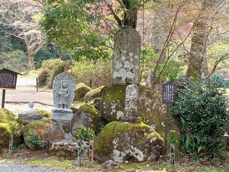 修禅寺 奥の院     (正覚院),静岡県伊豆市修善寺２９４０