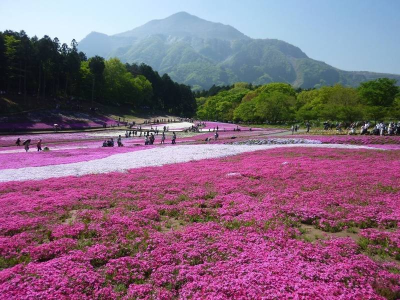 大山祇神社,埼玉県秩父市大宮