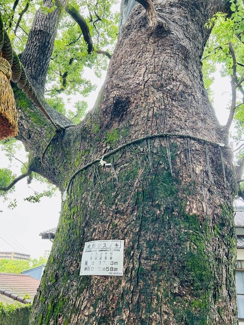山王神社    (山王日吉神社, 浦上皇大神宮),長崎県長崎市坂本２丁目６−５６