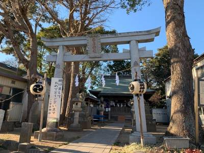 安房神社,見どころ,MOLTRES