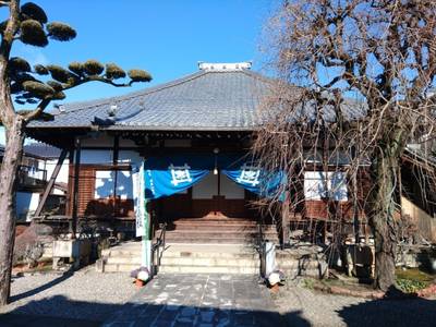 正興寺,見どころ,ちゅら君