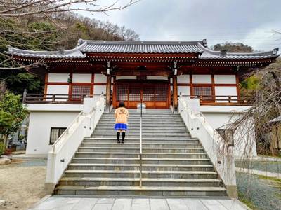 龍泰寺 (竜泰寺),見どころ,平沢凛