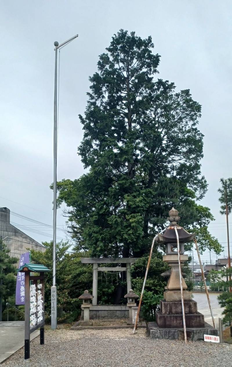 平坂熊野神社,愛知県西尾市平坂町熊野45
