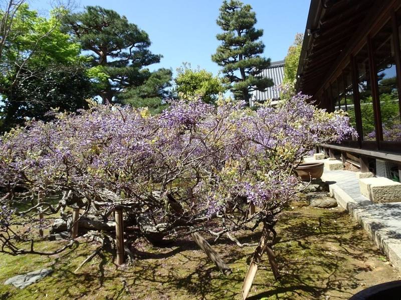 長慶院  (妙心寺塔頭),京都府京都市右京区花園寺ノ中町8-1