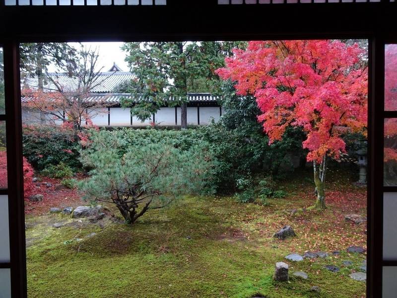 東光寺  (東福寺塔頭),京都府京都市東山区本町15丁目804番地