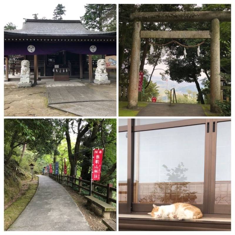 唐澤山神社 見どころ 佐野市 栃木県 Omairi おまいり