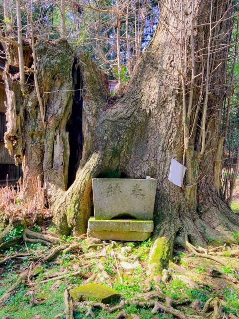 御嶽神社  (植草),千葉県山武市植草251