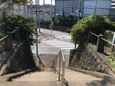 相州瀬谷若宮八幡宮,見どころ,