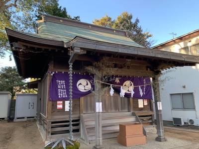安房神社,見どころ,MOLTRES