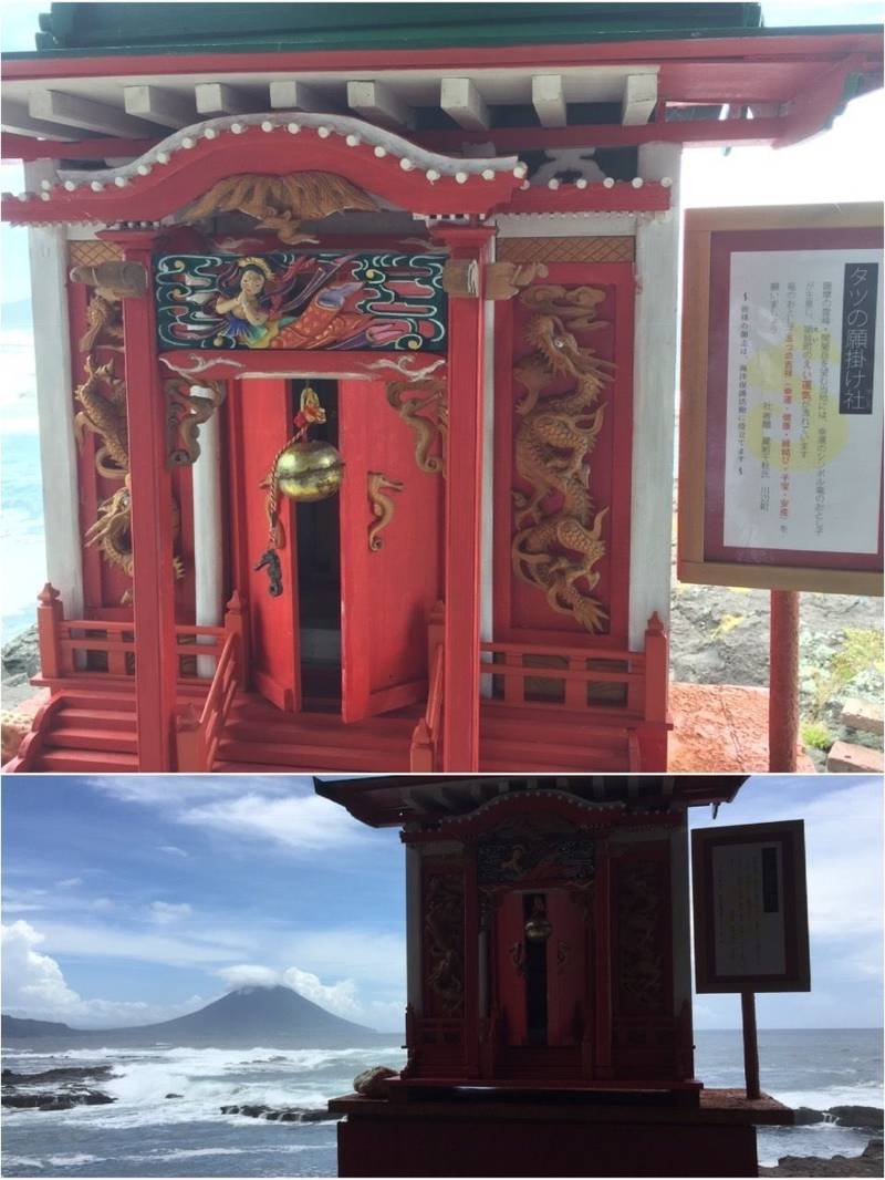 タツの願掛け社  ／竜の社  (タツノオトシゴハウス内),鹿児島県南九州市頴娃町別府5202-2