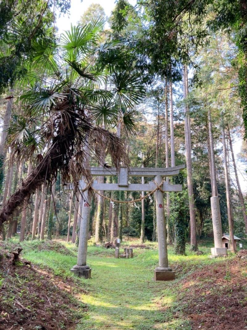 御嶽神社  (植草),千葉県山武市植草251
