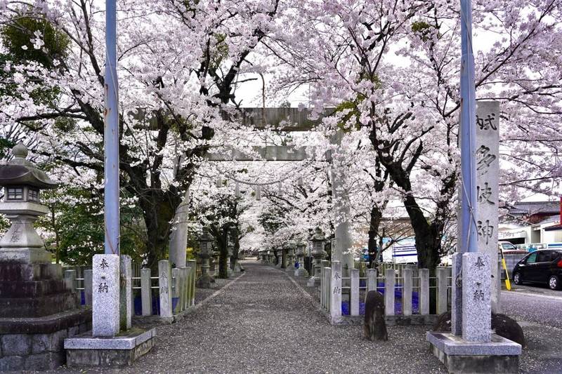 多岐神社,岐阜県養老郡養老町三神町406-1