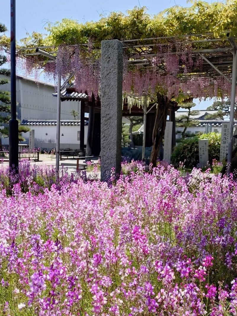東海山   長福寺,愛媛県西条市北条655