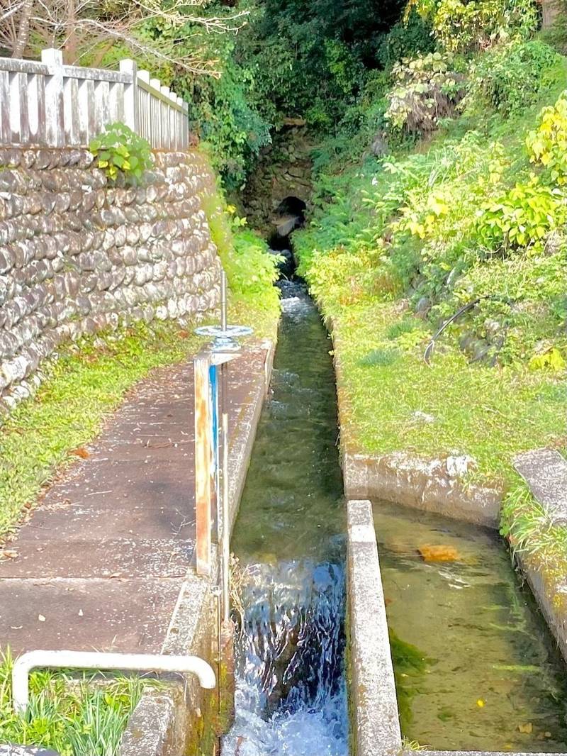 白山神社  (郡上市美並町白山1438),岐阜県郡上市美並町白山１４３８−１−１