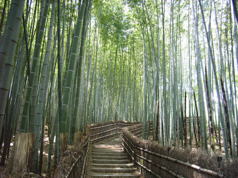 化野念仏寺,京都府京都市右京区嵯峨鳥居本化野町17