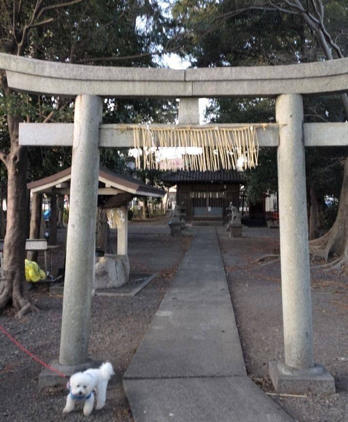 須賀神社      (駿河区),静岡県静岡市駿河区東新田1丁目16-12