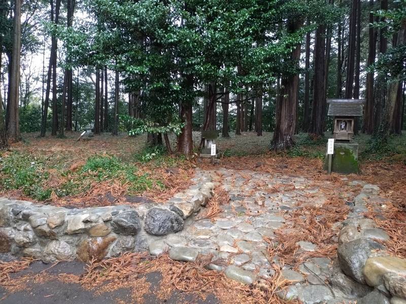 野々宮神社 (日高市),埼玉県日高市野々宮146番地