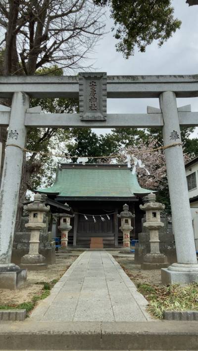安房神社,見どころ,namatyu550yen