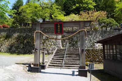 夫婦木神社上社,見どころ,トリトリ1025