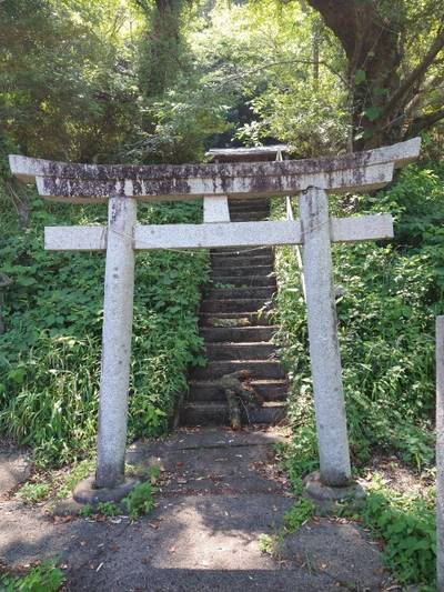 諏訪神社  (樺崎町),見どころ,おうぎ