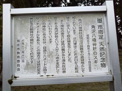 八幡神社      (新庄市角沢),見どころ,つち