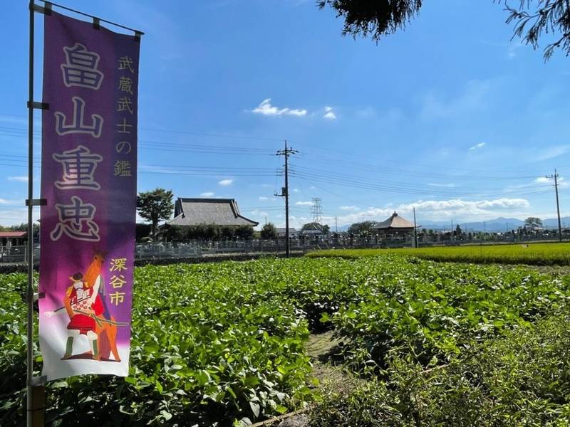 満福寺,埼玉県深谷市畠山９３１－１