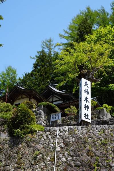 夫婦木神社上社,見どころ,トリトリ1025