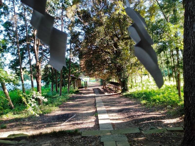 一ツ木氷川神社,埼玉県比企郡吉見町一ツ木165