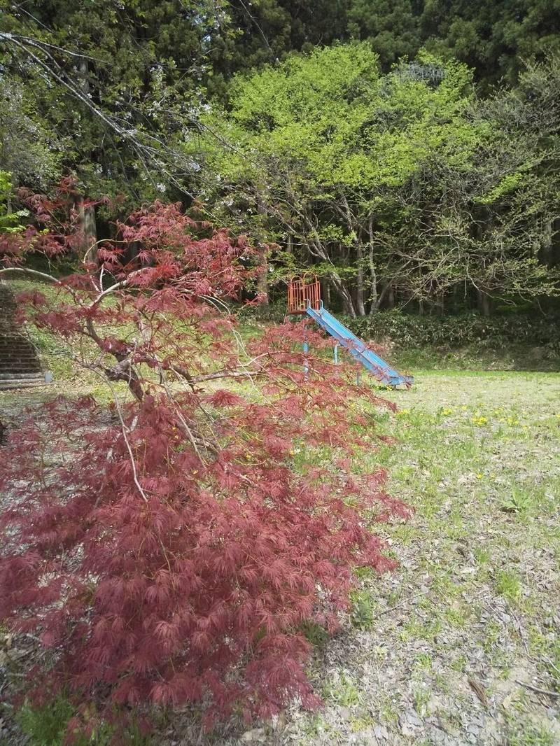 白山神社 (山﨑),山形県最上郡金山町山﨑