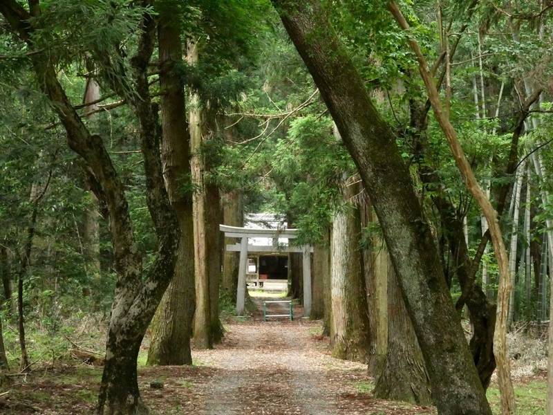 花長上神社,岐阜県揖斐郡揖斐川町谷汲名礼1211