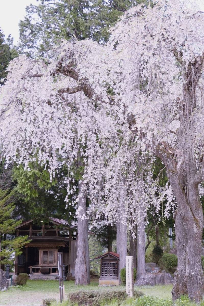 万石薬師堂    (朝日町万石),岐阜県高山市朝日町万石