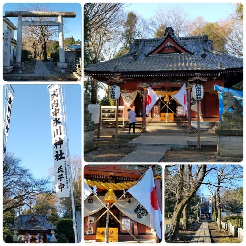 中氷川神社 所沢市 埼玉県 Omairi おまいり