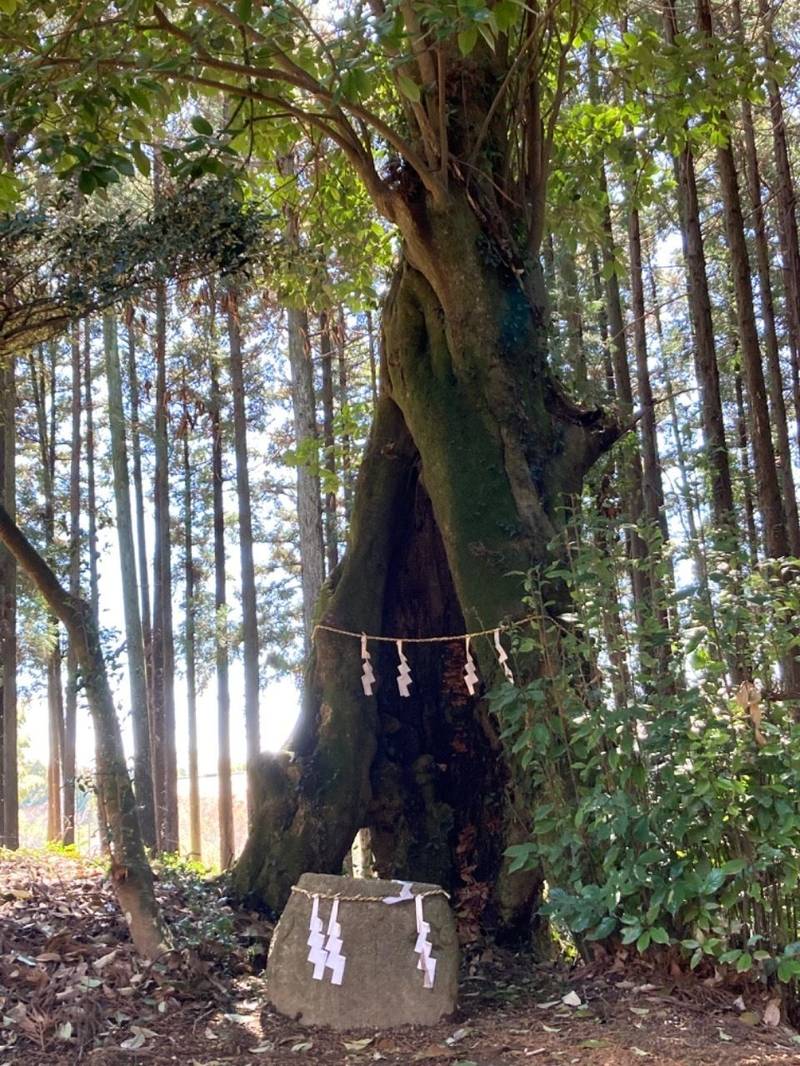 立野神社,茨城県水戸市谷津町899