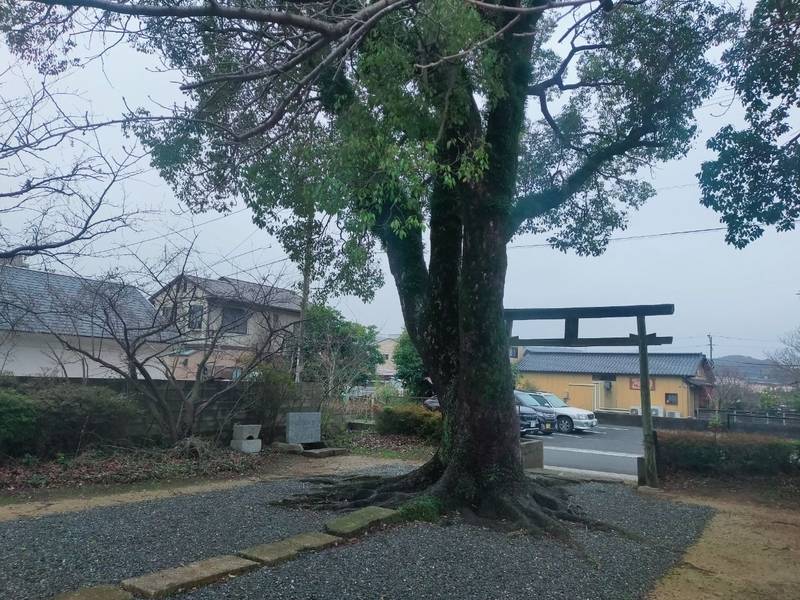今井神社,福岡県宗像市赤間4-1-34