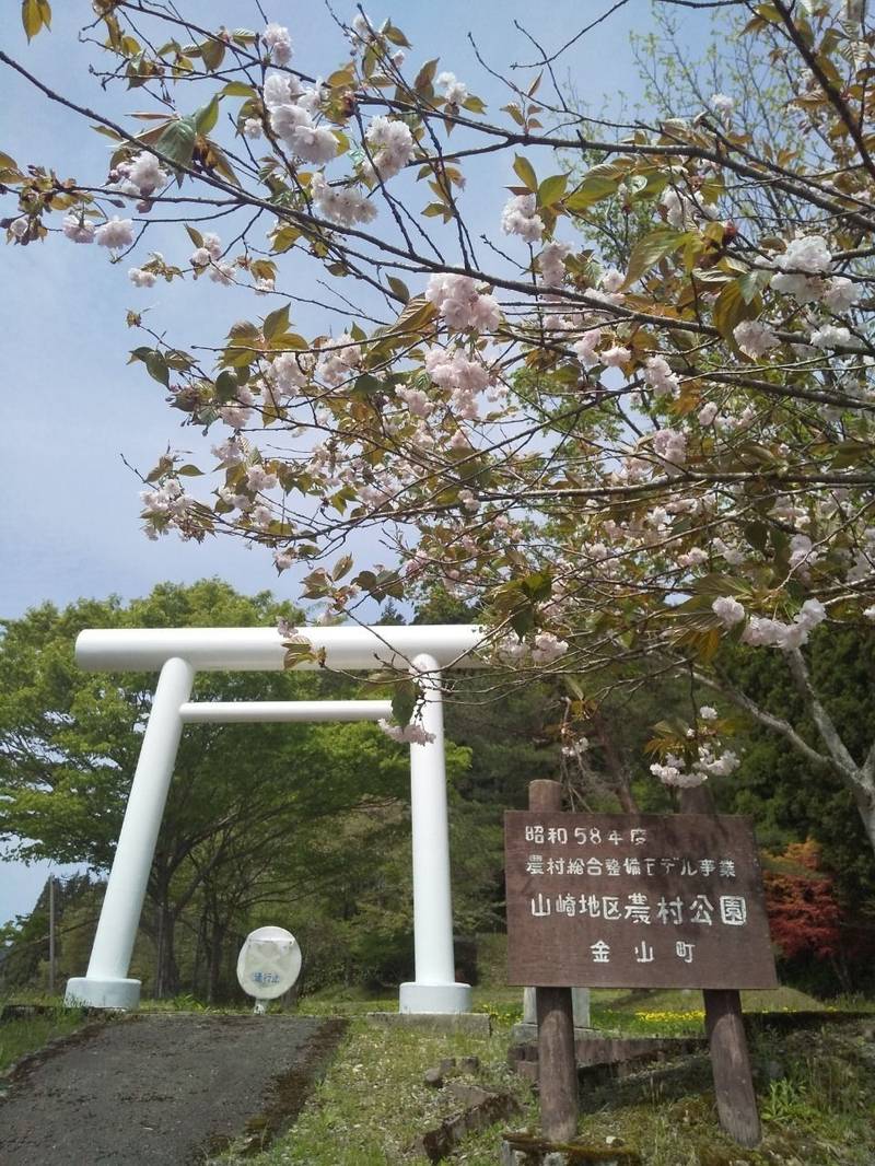 白山神社 (山﨑),山形県最上郡金山町山﨑