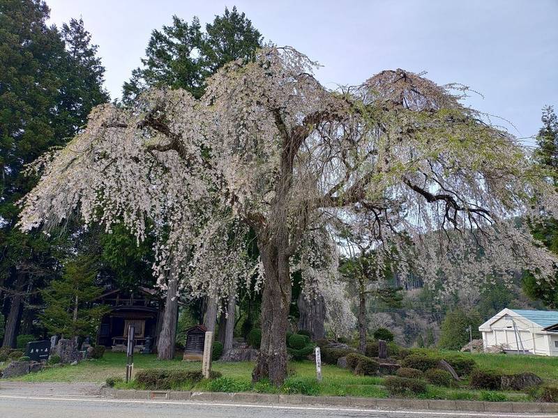 万石薬師堂    (朝日町万石),岐阜県高山市朝日町万石