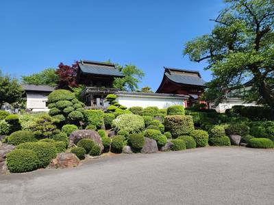 西光寺,見どころ,suzusuke 