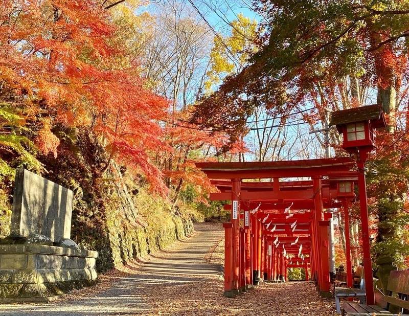 鼻顔稲荷神社 見どころ 佐久市 長野県 Omairi おまいり