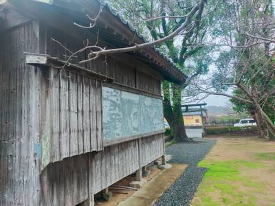 今井神社,見どころ,あまてらす王海守