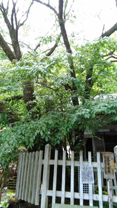 月輪寺