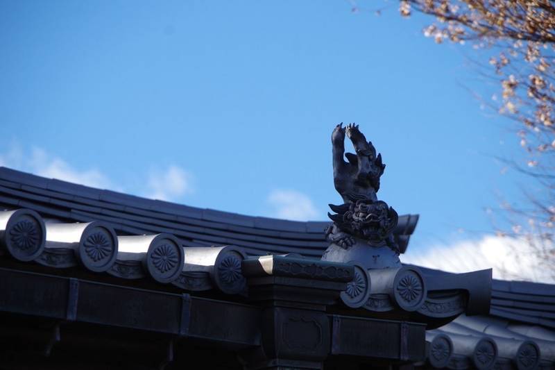 青塚山  成等寺,茨城県ひたちなか市馬渡1289