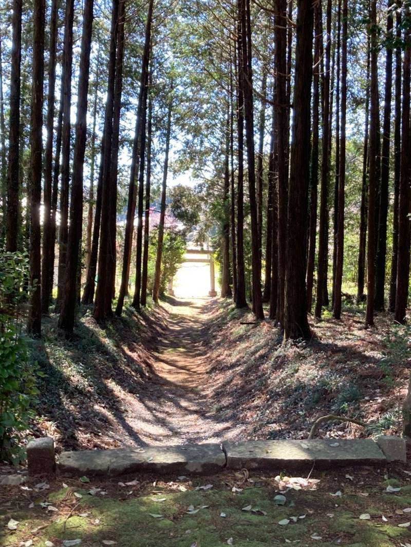 立野神社,茨城県水戸市谷津町899